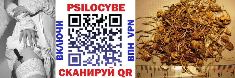 Псилоцибиновые грибы Magic Shrooms  магазин продажи наркотиков  Наволоки 