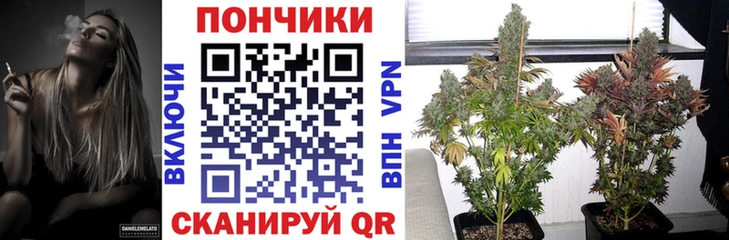 Бошки Шишки тримм  наркота  Наволоки 